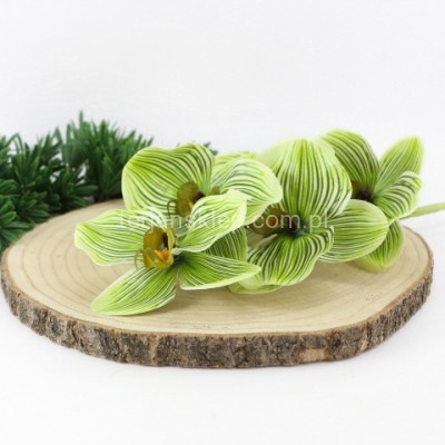 Storczyk gałązka LEV011 lt green