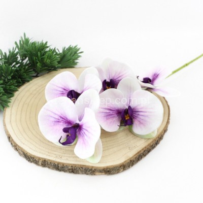 Storczyk gałązka LEV011 lt violet