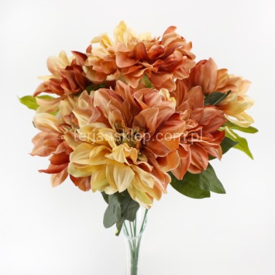 Bukiet dalii CH10 caffe latte