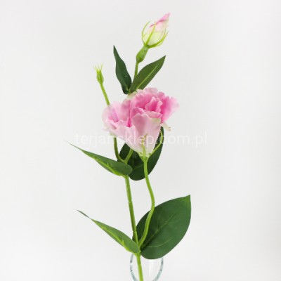 Eustoma SUN357 (12 szt) candy pink #3066