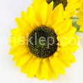 IMG_0004.JPG