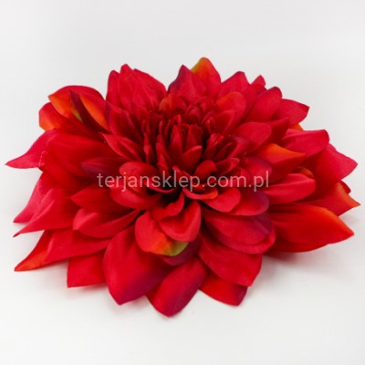 Dalia wyrobowa GIGANT CW39 (1 szt) red