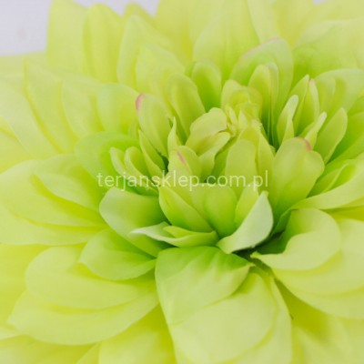 Dalia wyrobowa GIGANT CW39 (1 szt) green