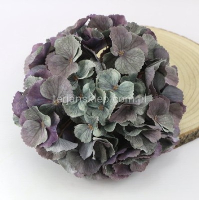 Hortensja wyrobowa CV35651 fiolet/turkus #17
