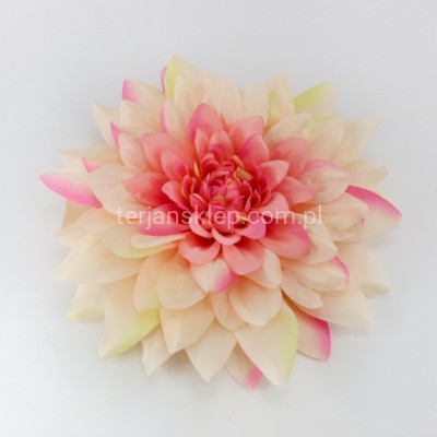 Dalia wyrobowa GIGANT CW39 (1 szt) pink lt peach