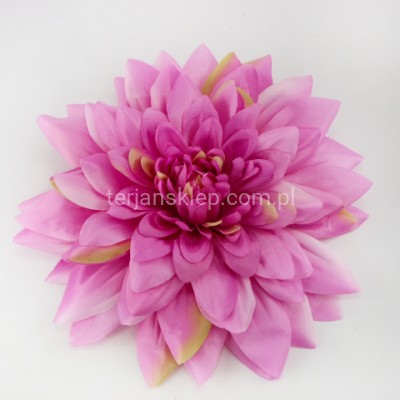 Dalia wyrobowa GIGANT CW39 (1 szt) pink z akcentami