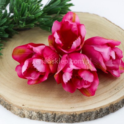 Tulipan wyrobowy PAPUZI EV256 (24 szt) beauty #5