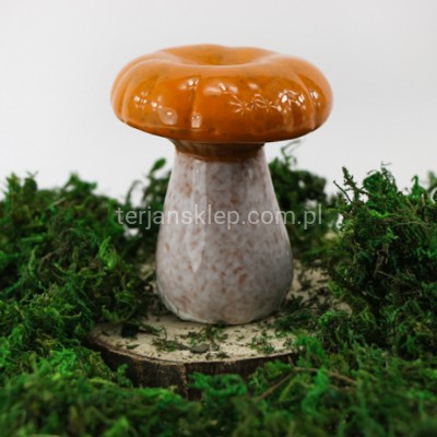Grzyb osak TG77848 orange