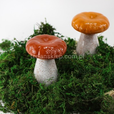 Grzyb osak TG77848 lt brown