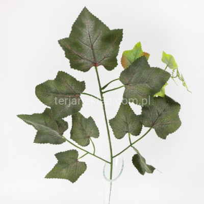 Liść winogronowy CL707 (12 szt) c. zieleń omszała
