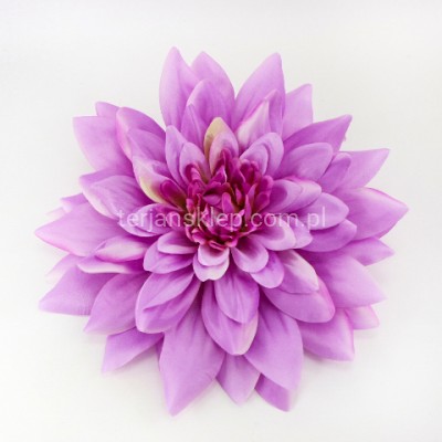 Dalia wyrobowa GIGANT CW39 (1 szt) lilac