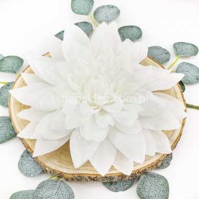 Dalia wyrobowa GIGANT CW39 (1 szt) white