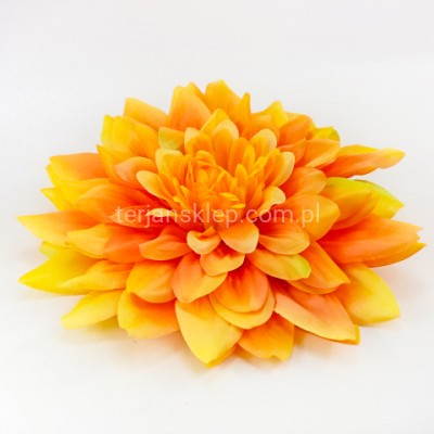 Dalia wyrobowa GIGANT CW39 (1 szt) lt orange z akcentami