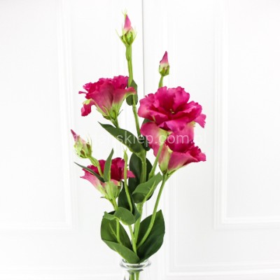 Eustoma gał. SUN345 fuchsia green #2207