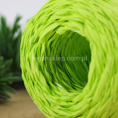 Wstążka rafia RAF01 AM seledynowa #65