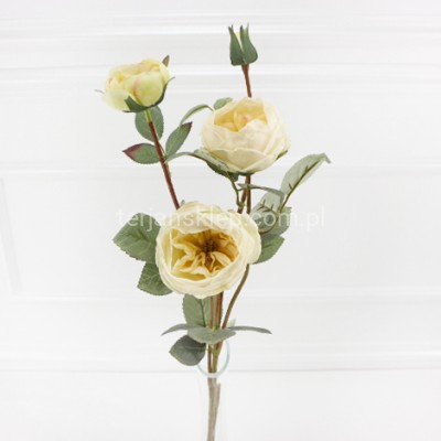 Peonia gałązka CV35478 dr cream #mix1