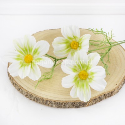 Kosmos gałązka CV32988 cream green
