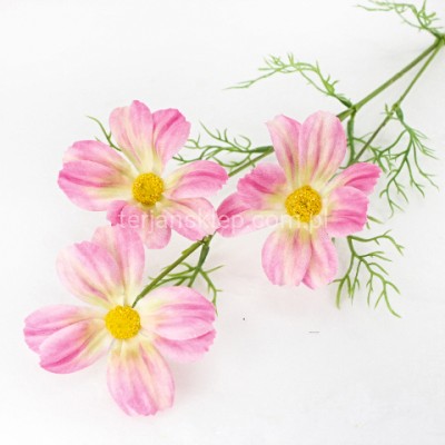 Kosmos gałązka CV32988 pink cream