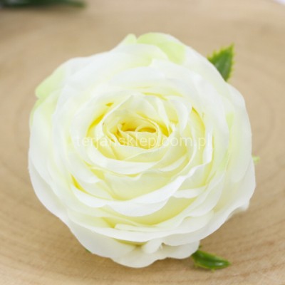 Róża wyrobowa HYBRID (12 szt) SUN891 cream green #1884