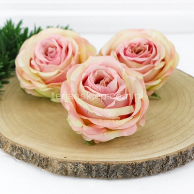 Róża wyrobowa HYBRID (12 szt) SUN891 pink green #1582