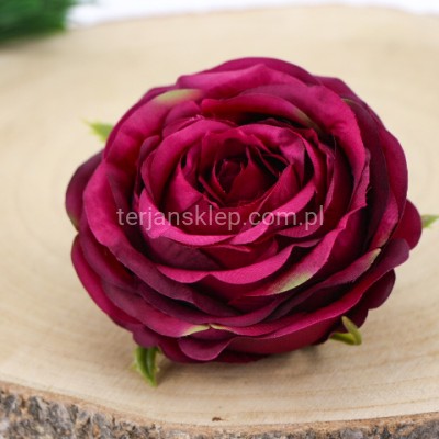 Róża wyrobowa HYBRID (12 szt) SUN891 burgundy green #3003