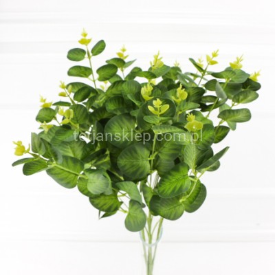 Bukiet eukaliptusa LIU007 deep green
