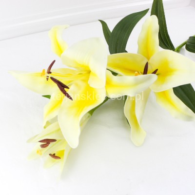 Lilia gałązka LEV003 lt yellow
