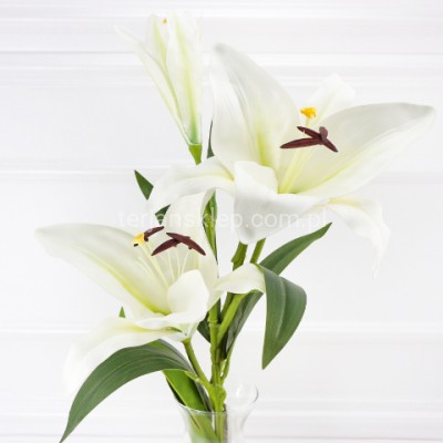 Lilia gałązka LEV003 white