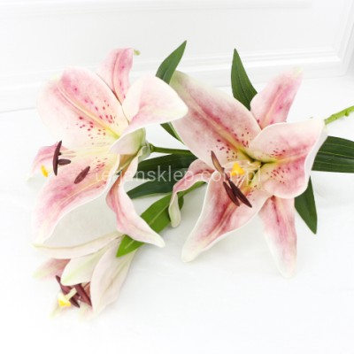 Lilia gałązka LEV003 powder pink