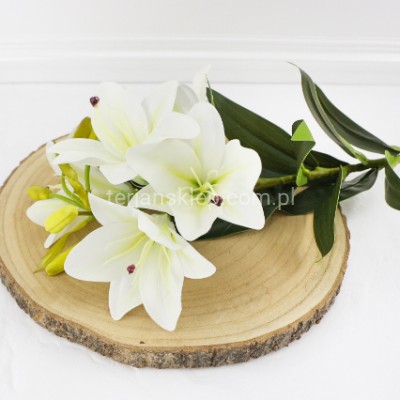 Lilia gałązka LEV001 white