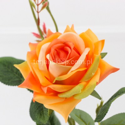 Róża gałązka N028 orange
