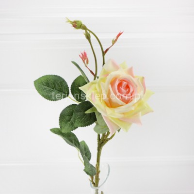 Róża gałązka N028 ivory