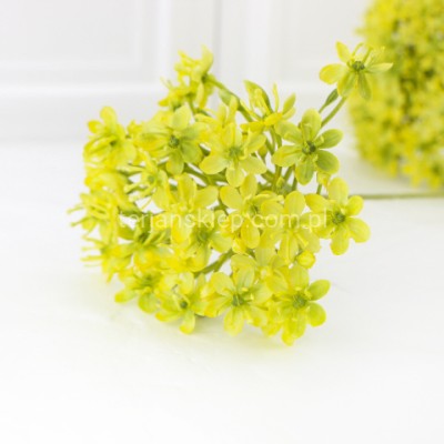 Czosnek na piku wiązka (6 szt) BUK1030 lt yellow green