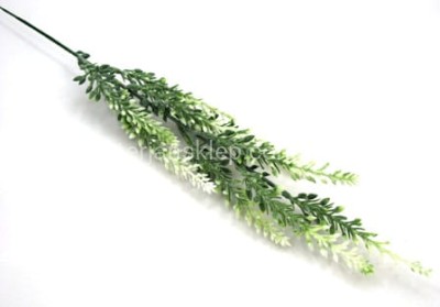 Szczaw plast.E145 (opak.12 szt) ziel./biel