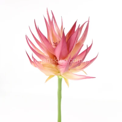 Guzmania silikonowa ANA1014 powder pink #19