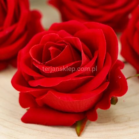 Róża welur TERJAN.JPG