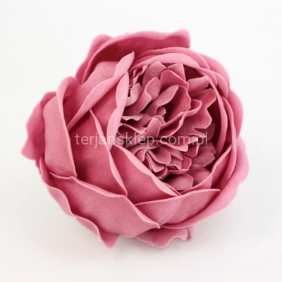 Piwonia mydlana PACHNĄCA SK PIW1371 dr pink