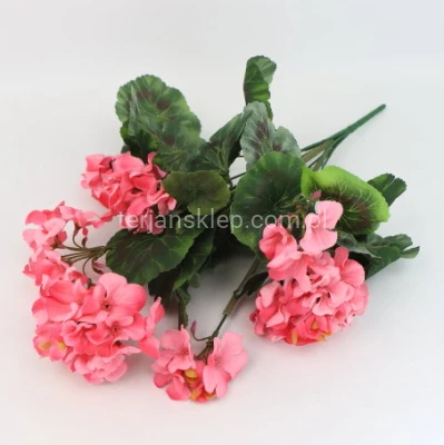 Pelargonie bukiet J103 pink