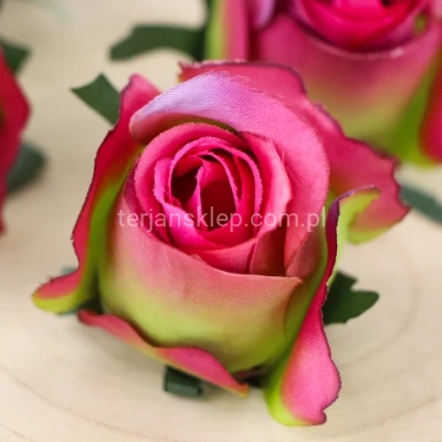 Róża F036 (12 szt) multi beauty green