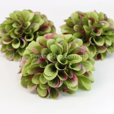 Cynia wyrobowa DAMA 2003 (12 szt) green/purple #20