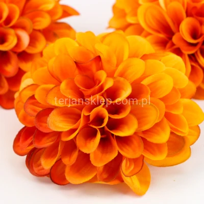 Cynia wyrobowa DAMA 2003 (12 szt) amber/gold #11