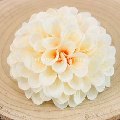 Cynia wyrobowa DAMA 2003 (12 szt) beige #23