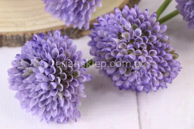 Czosnek gał. LY008 lt lilac