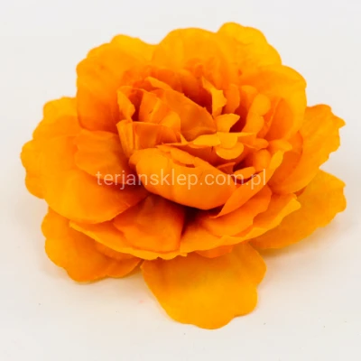 Peonia K089 (12 szt) tt new brown #DF1TT