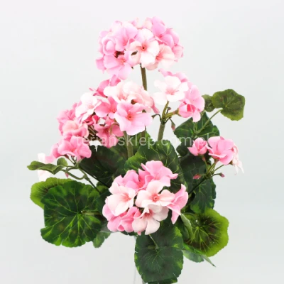 Pelargonie bukiet J103 lt pink