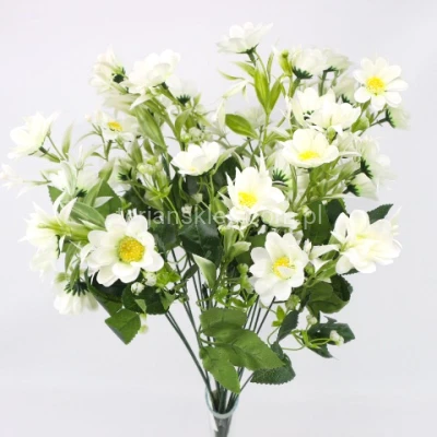 Bukiet stokrotek ROS00002 cream