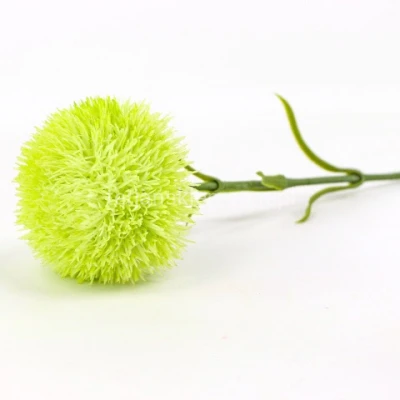 Dianthus kulisty BUK1031 lt green