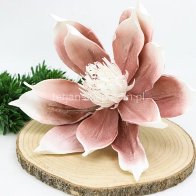 Magnolia pik pianka VIP6601 cappucino