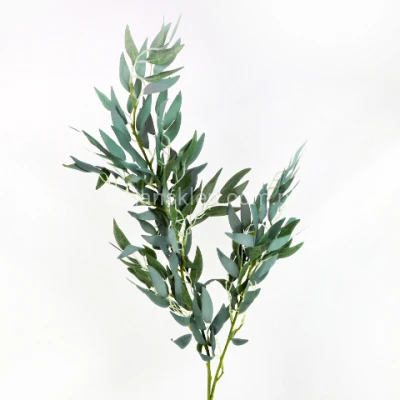 Gałąź Ruskus LIU357 powder green