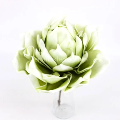 Magnolia pik pianka VIP6620 lt green #mix6